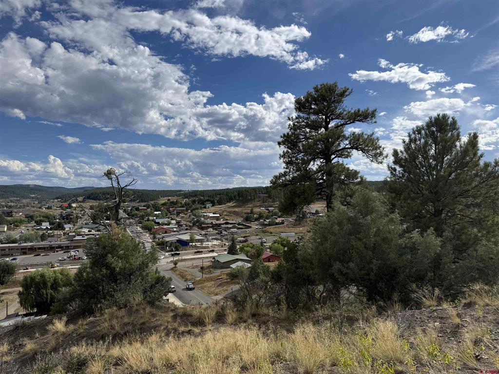 X N 8th Street Pagosa Springs CO 81147