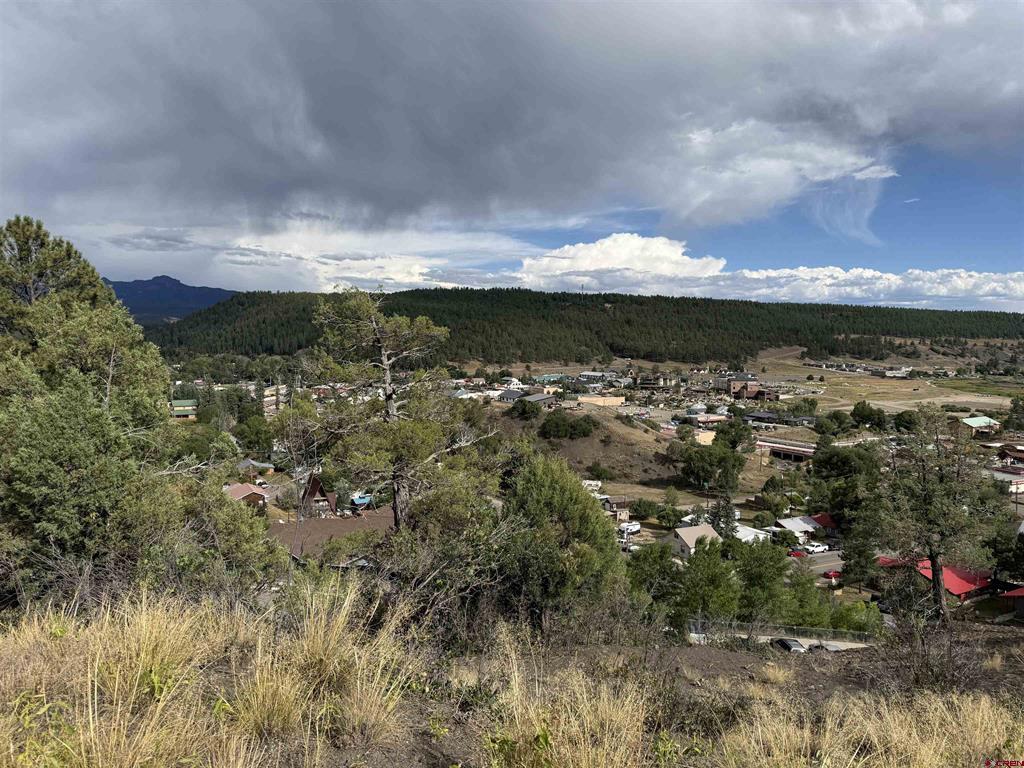 X N 8th Street Pagosa Springs CO 81147
