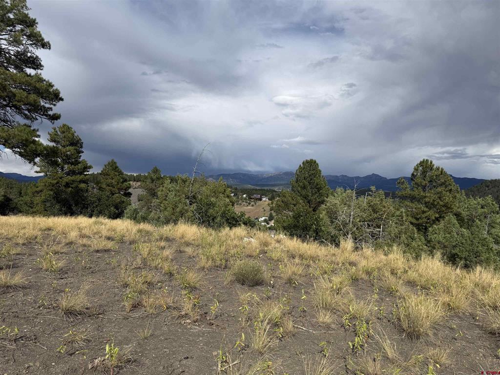 X N 8th Street Pagosa Springs CO 81147