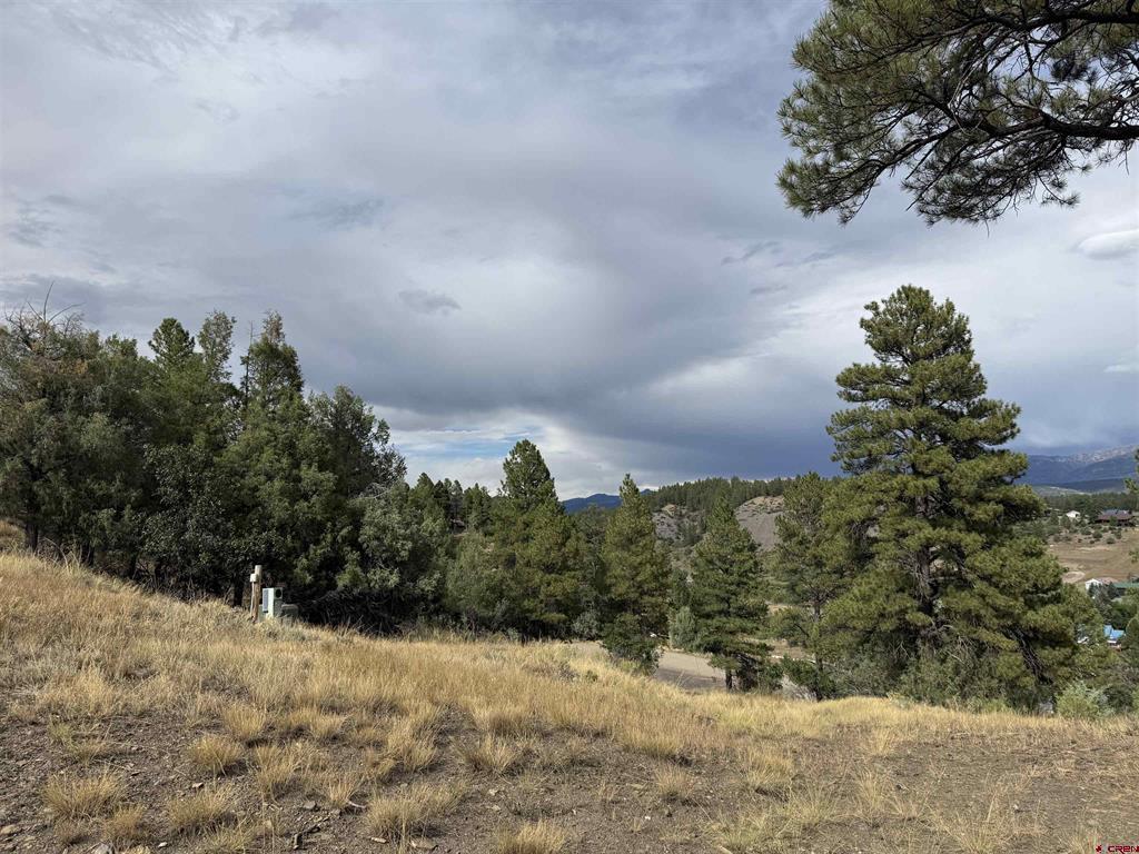 X N 8th Street Pagosa Springs CO 81147