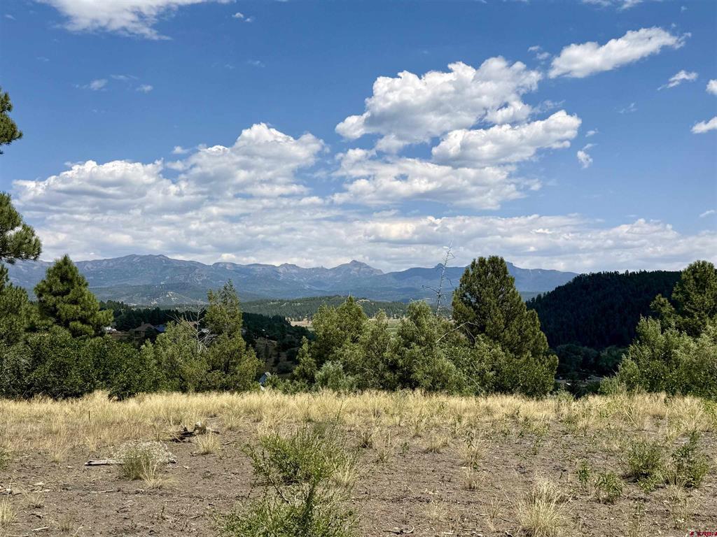X N 8th Street Pagosa Springs CO 81147