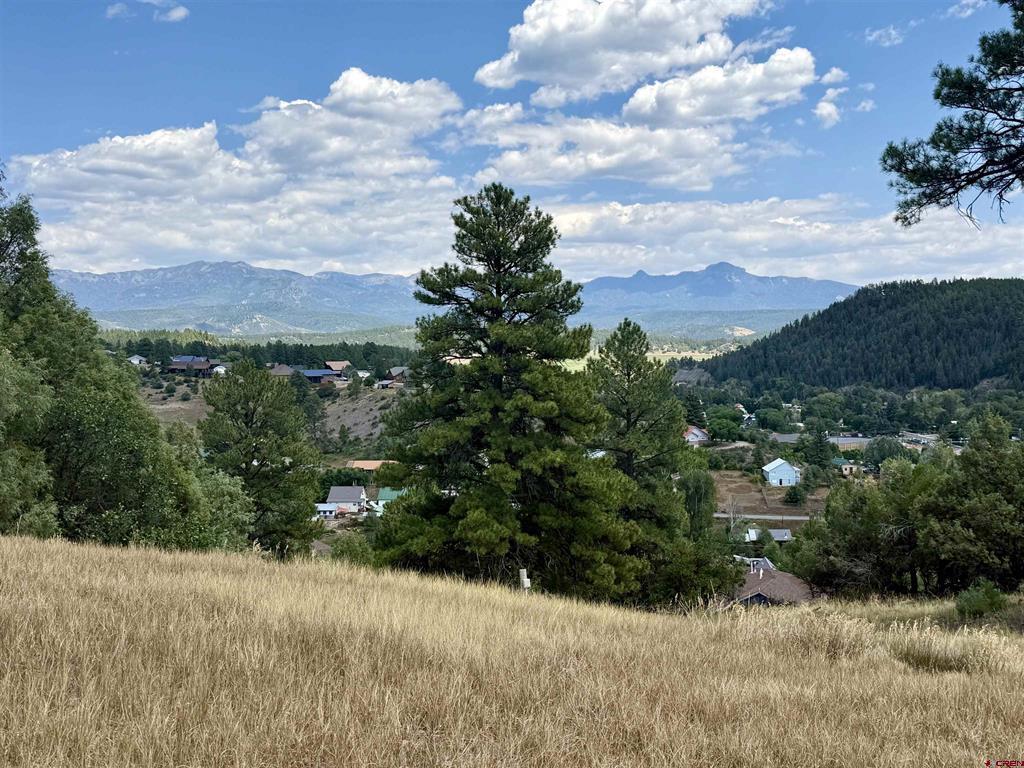 X N 8th Street Pagosa Springs CO 81147