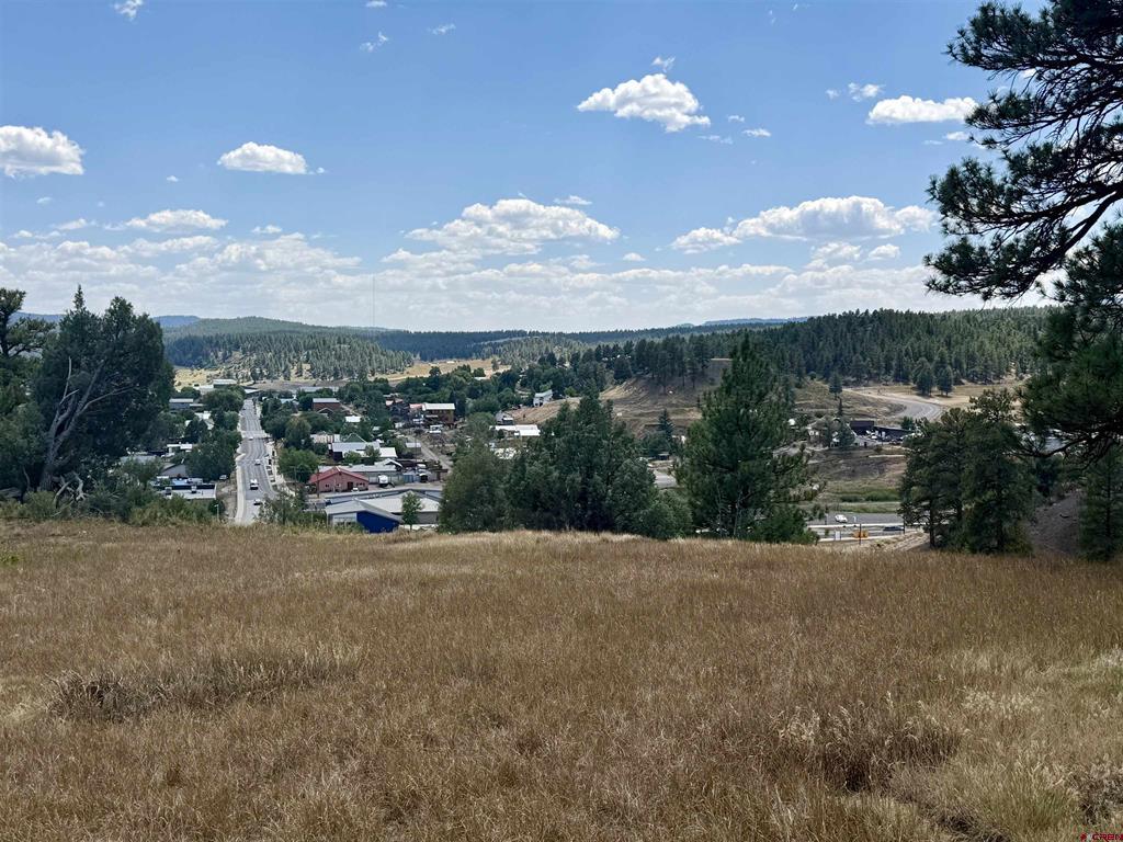 X N 8th Street Pagosa Springs CO 81147