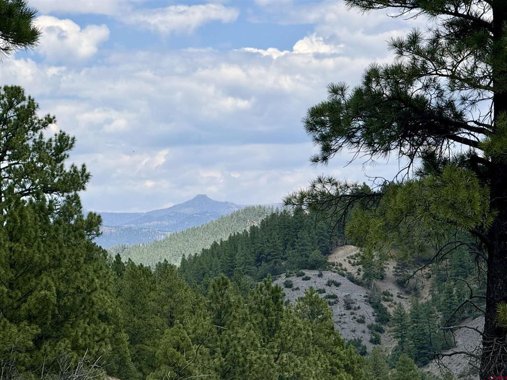 X N 8th Street Pagosa Springs CO 81147
