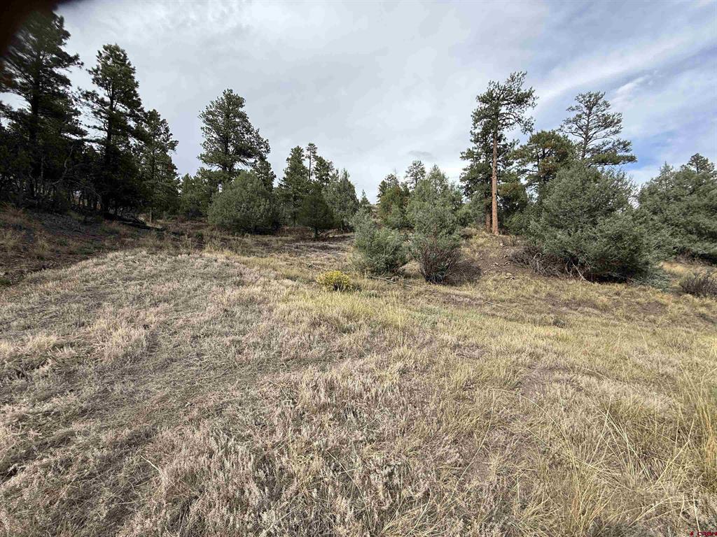X N 8th Street Pagosa Springs CO 81147