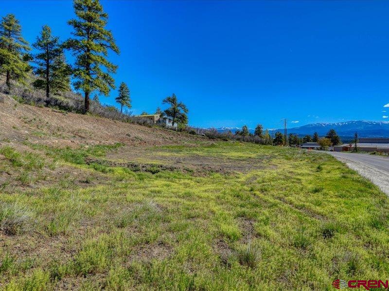 X Eagle Drive Pagosa Springs CO 81147