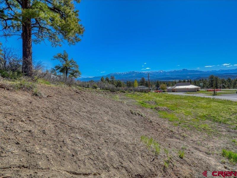 X Eagle Drive Pagosa Springs CO 81147