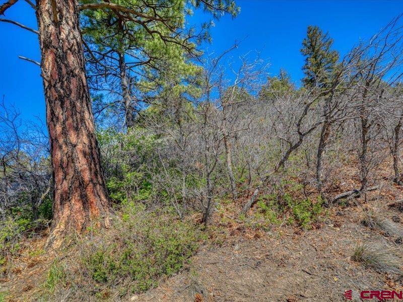X Eagle Drive Pagosa Springs CO 81147