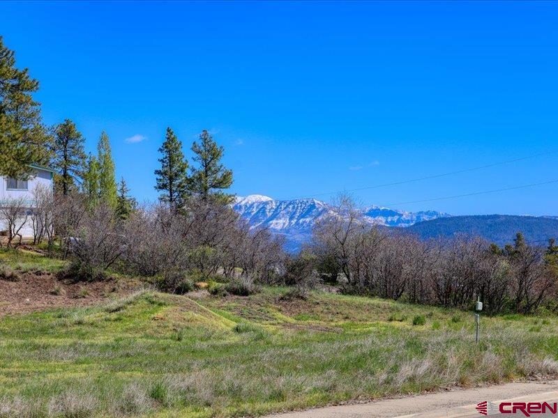 X Eagle Drive Pagosa Springs CO 81147