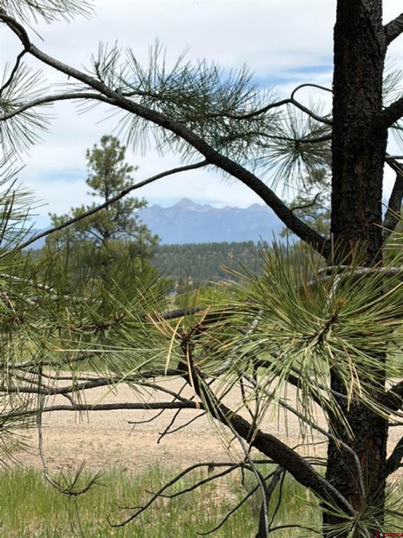 2321 Loma Linda Drive Pagosa Springs CO 81147