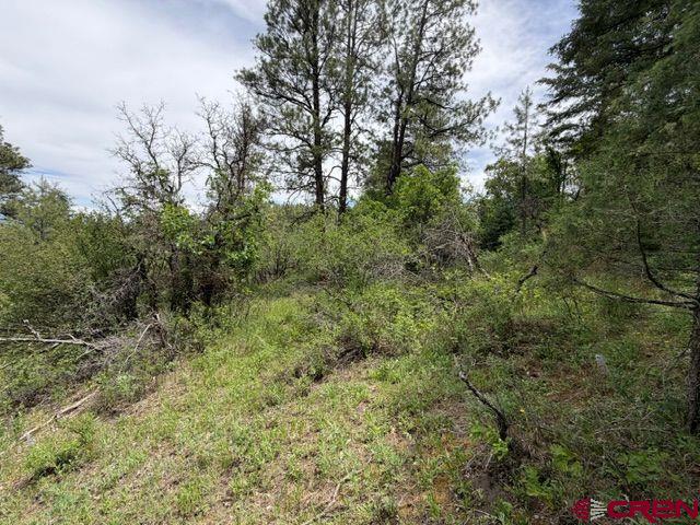 2321 Loma Linda Drive Pagosa Springs CO 81147