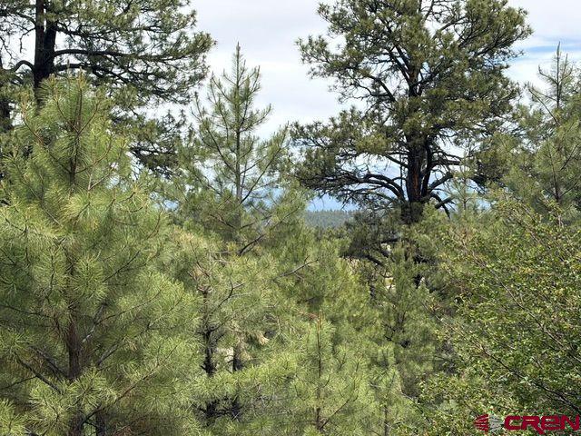 2321 Loma Linda Drive Pagosa Springs CO 81147