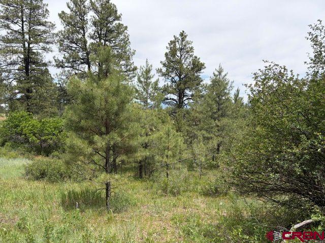 2321 Loma Linda Drive Pagosa Springs CO 81147
