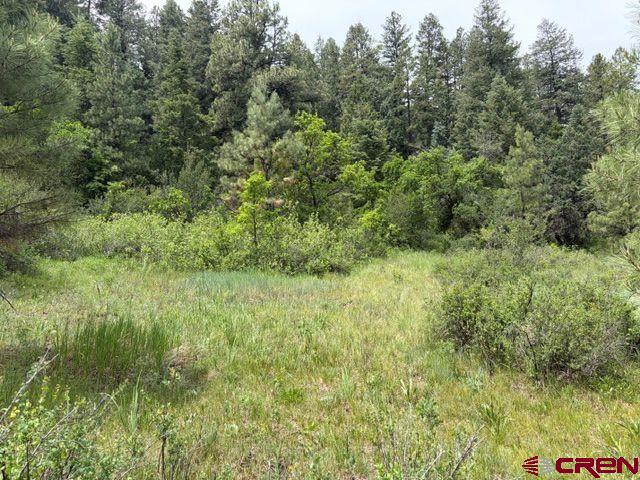 2321 Loma Linda Drive Pagosa Springs CO 81147