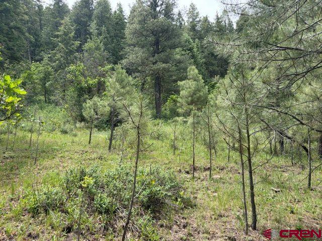 2321 Loma Linda Drive Pagosa Springs CO 81147
