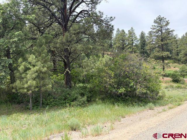 2321 Loma Linda Drive Pagosa Springs CO 81147