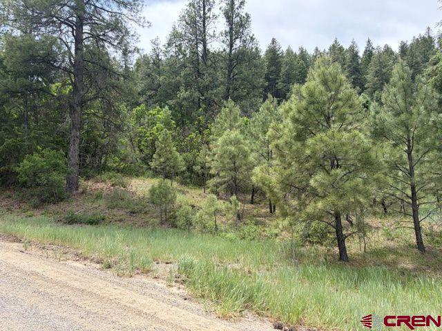 2321 Loma Linda Drive Pagosa Springs CO 81147