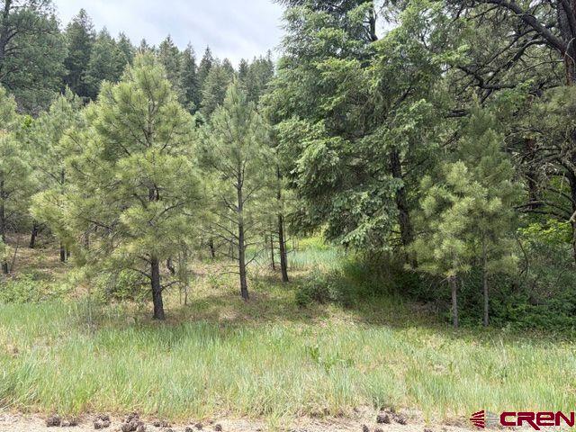 2321 Loma Linda Drive Pagosa Springs CO 81147