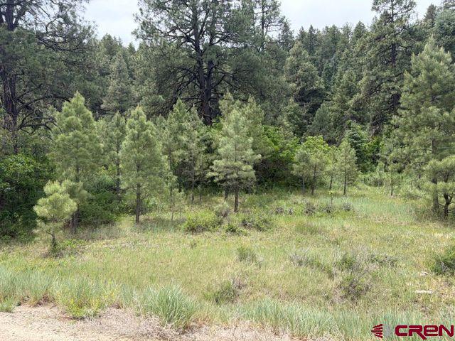 2321 Loma Linda Drive Pagosa Springs CO 81147