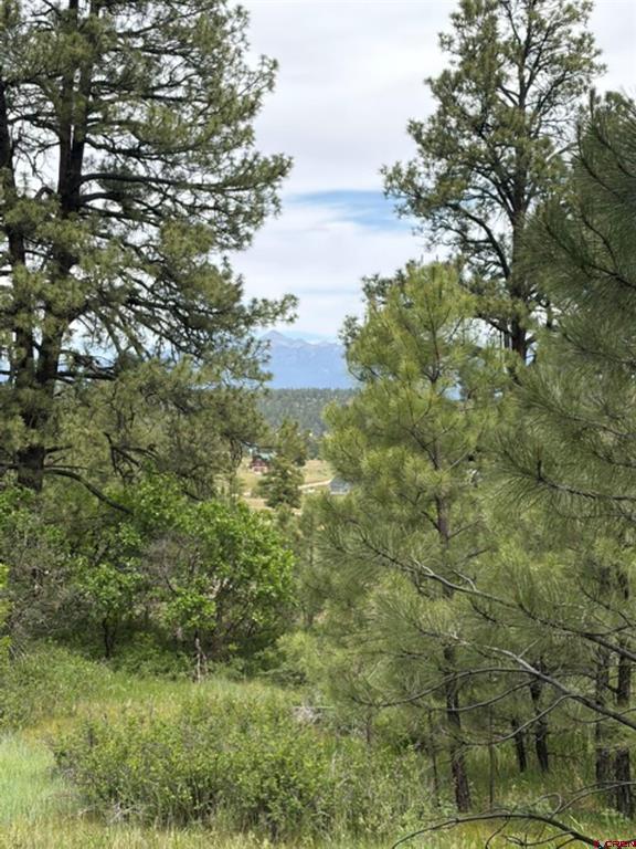 2321 Loma Linda Drive Pagosa Springs CO 81147