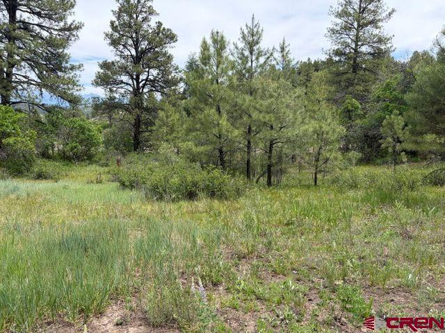 2321 Loma Linda Drive Pagosa Springs CO 81147