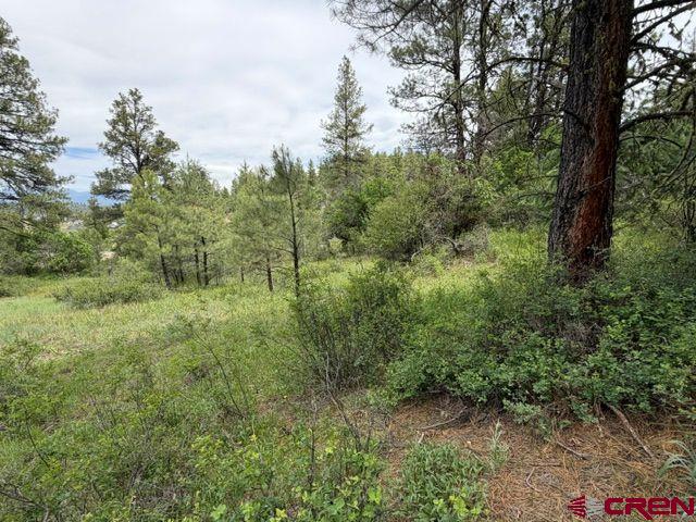 2321 Loma Linda Drive Pagosa Springs CO 81147