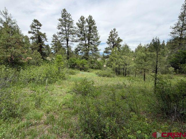 2321 Loma Linda Drive Pagosa Springs CO 81147