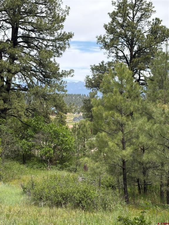 2321 Loma Linda Drive Pagosa Springs CO 81147
