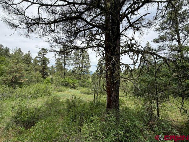 2321 Loma Linda Drive Pagosa Springs CO 81147