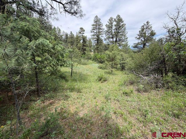 2321 Loma Linda Drive Pagosa Springs CO 81147