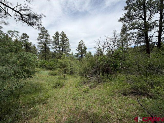2321 Loma Linda Drive Pagosa Springs CO 81147