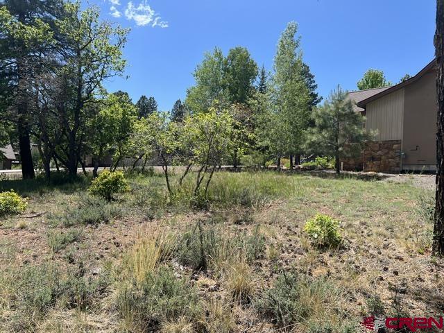 250 Copper Rim Trail Durango CO 81301