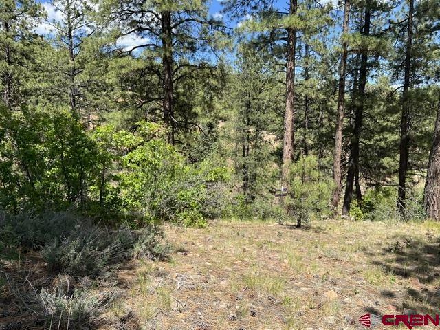 250 Copper Rim Trail Durango CO 81301