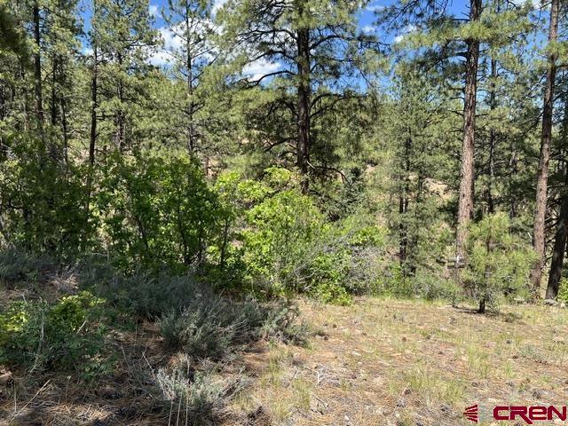 250 Copper Rim Trail Durango CO 81301