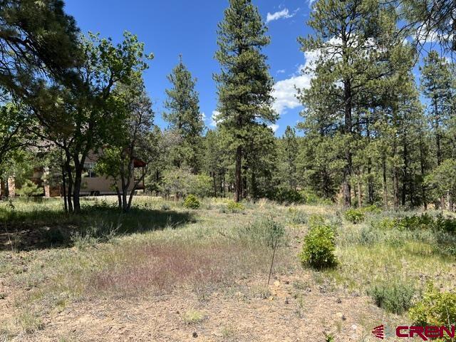 250 Copper Rim Trail Durango CO 81301