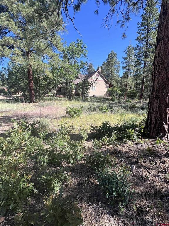 250 Copper Rim Trail Durango CO 81301