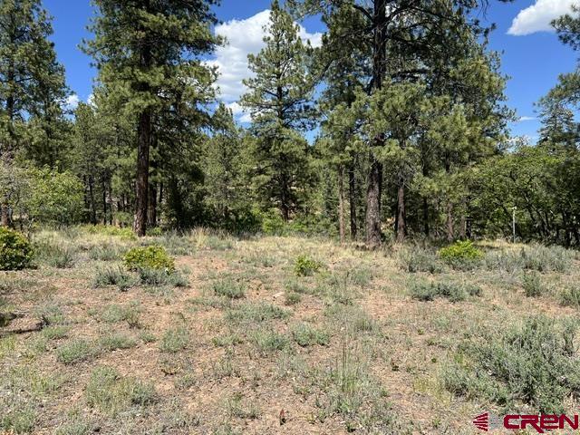 250 Copper Rim Trail Durango CO 81301