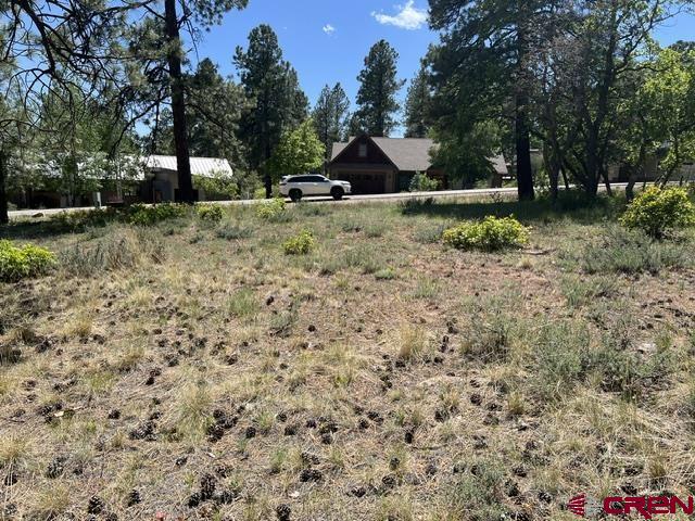 250 Copper Rim Trail Durango CO 81301