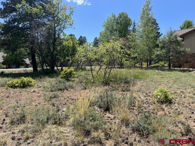 250 Copper Rim Trail Durango CO 81301