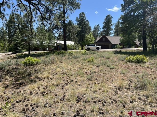 250 Copper Rim Trail Durango CO 81301