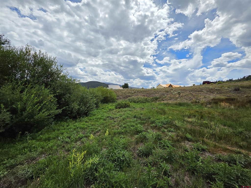 32 N Alder Creek Lane South Fork CO 81154
