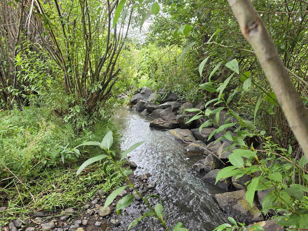 32 N Alder Creek Lane South Fork CO 81154