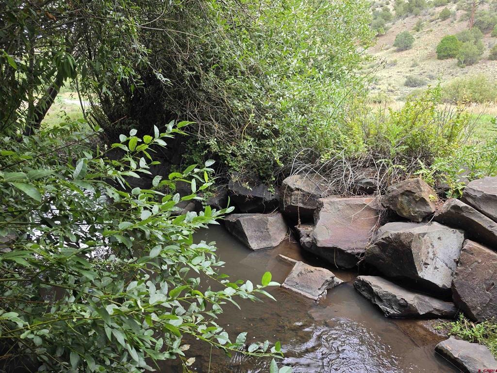 32 N Alder Creek Lane South Fork CO 81154
