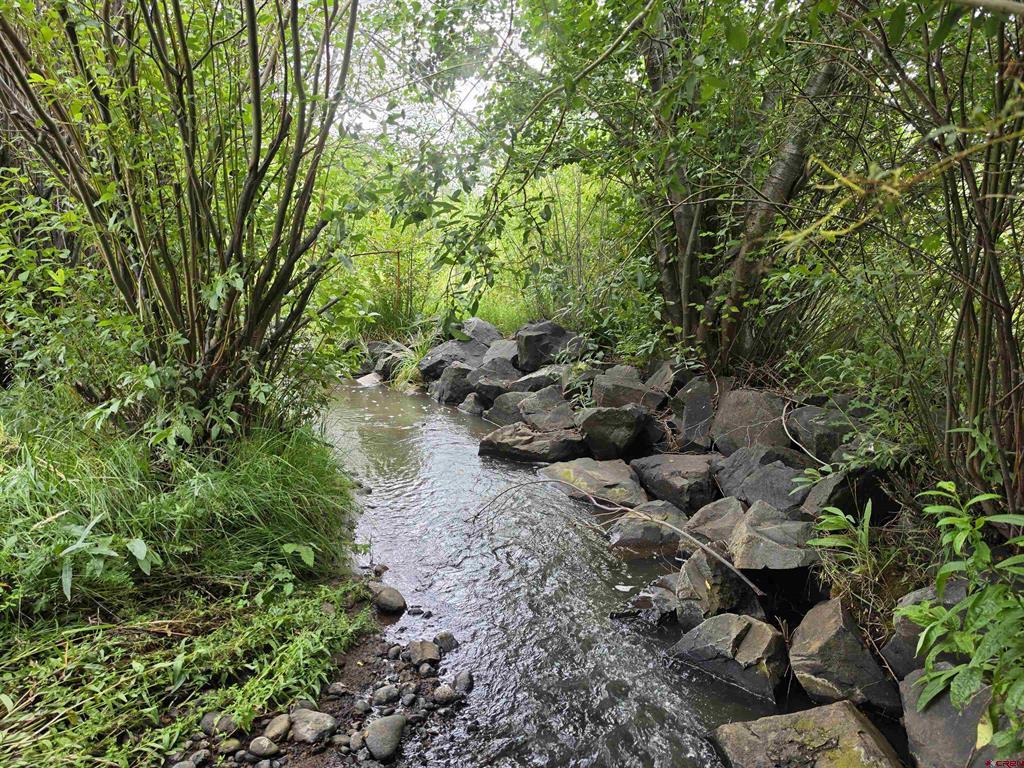 32 N Alder Creek Lane South Fork CO 81154