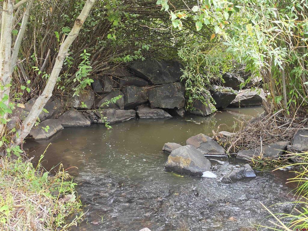 32 N Alder Creek Lane South Fork CO 81154