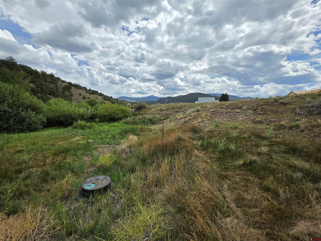 32 N Alder Creek Lane South Fork CO 81154