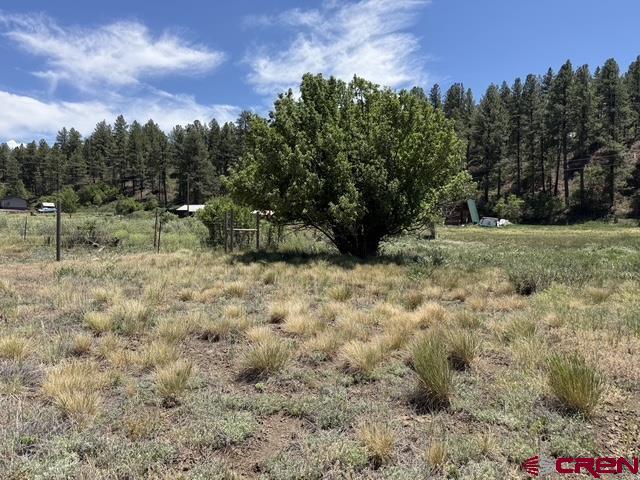 10700 & 10750 W Highway 160 Pagosa Springs CO 81147