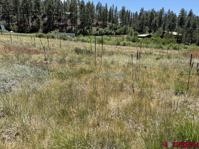 10700 & 10750 W Highway 160 Pagosa Springs CO 81147