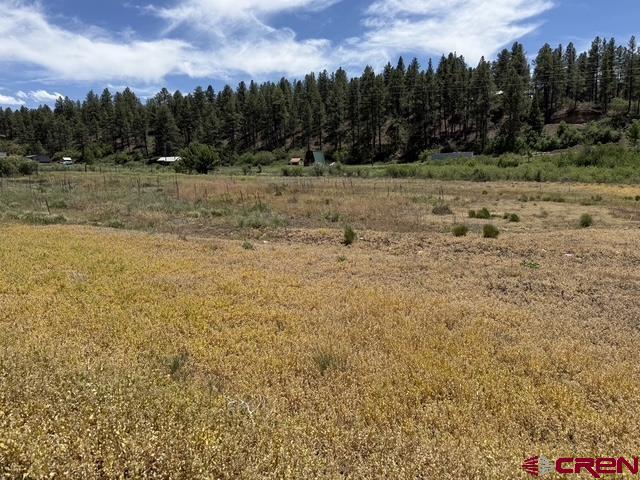 10700 & 10750 W Highway 160 Pagosa Springs CO 81147