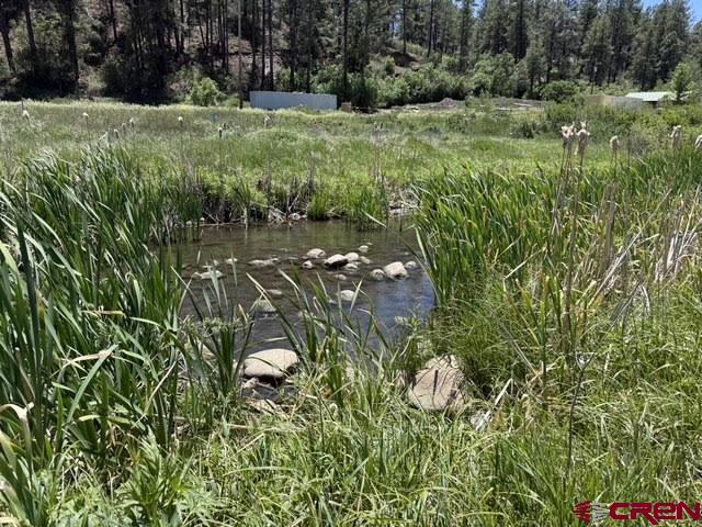 10700 & 10750 W Highway 160 Pagosa Springs CO 81147